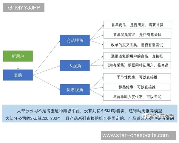 实时新闻深入分析V5战队的运营策略与战术执行方法